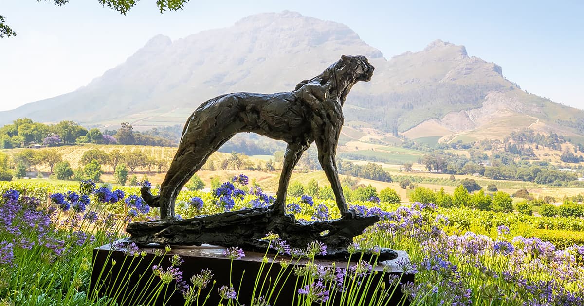 Delaire Graff Estate